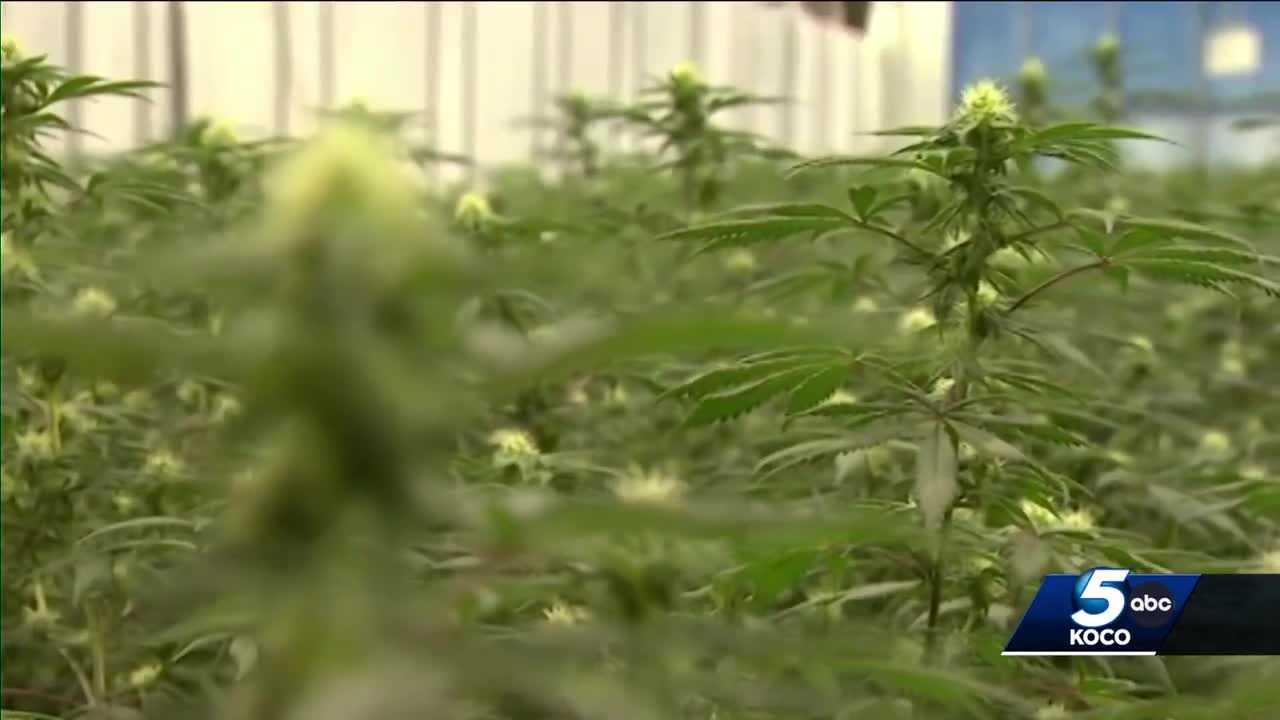 Oklahoma Supreme Court Hears From Medical Marijuana Group