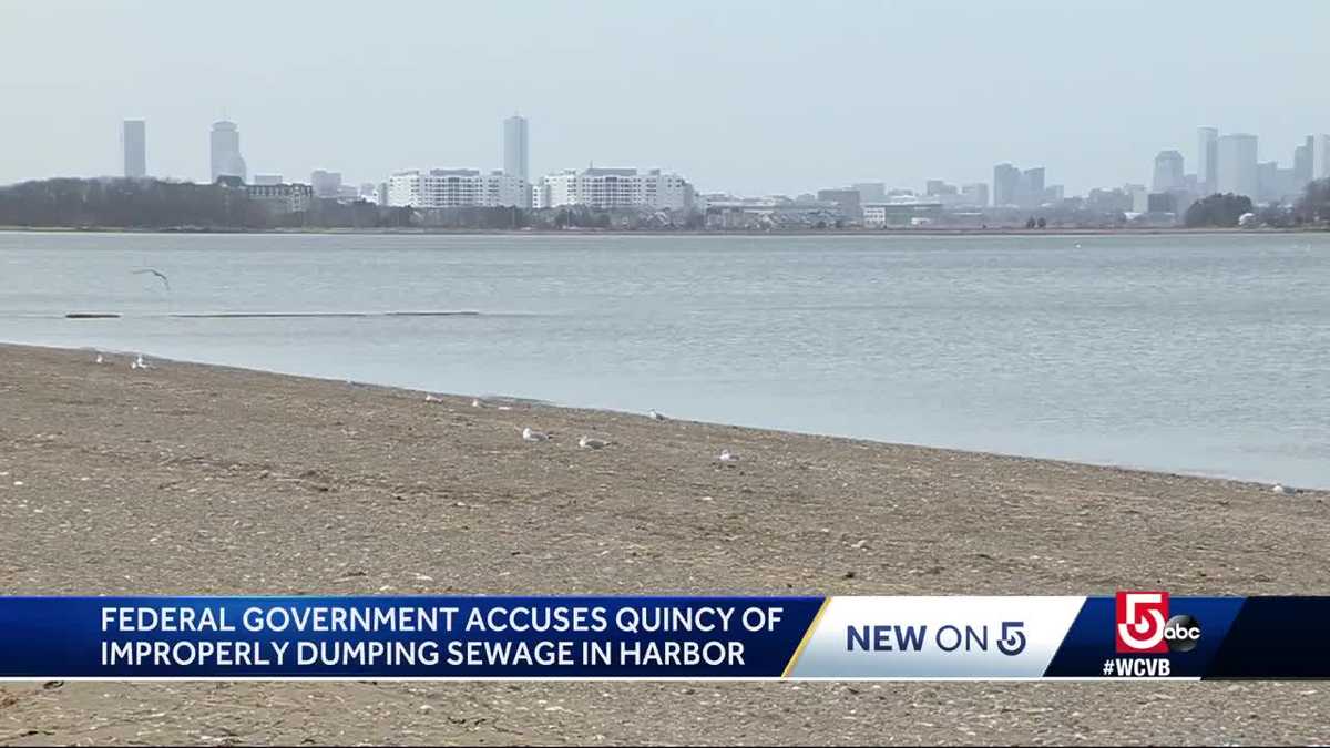 Quincy accused of dumping sewage in harbor, waterways
