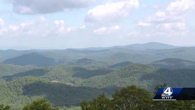 South Carolina: Hawk Migration - Vimarsana News