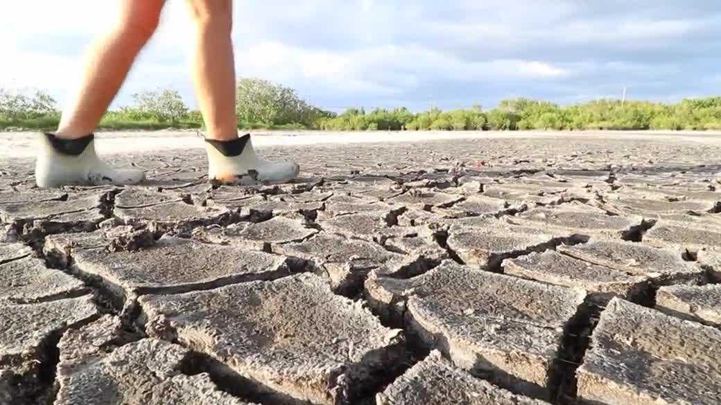 From Cape Coral to the Everglades, drought grips the Gulf Coast