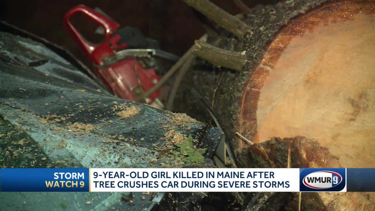 Girl Killed By Fallen Tree During Storms In Maine   45e5e453 9695 43fe 9a58 C796723e8ee0 Image 