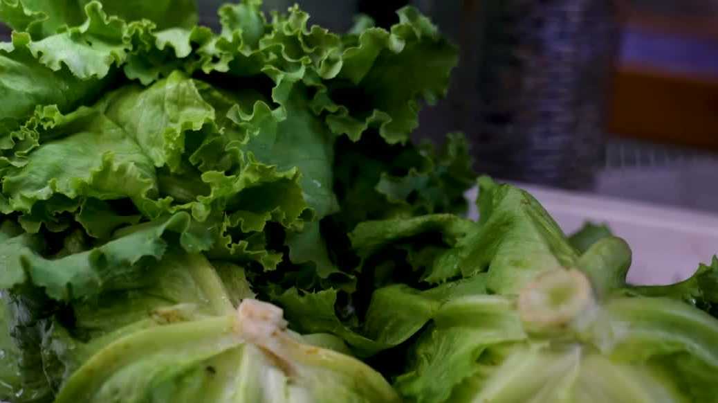 Granite Staters turning to local lettuce producers during national cyclosporiasis outbreak