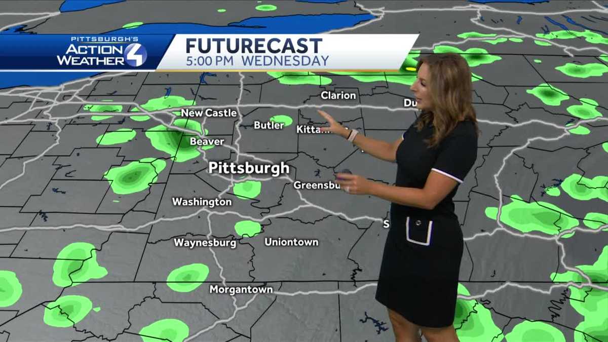 Stray Shower; Less Humid and Mild