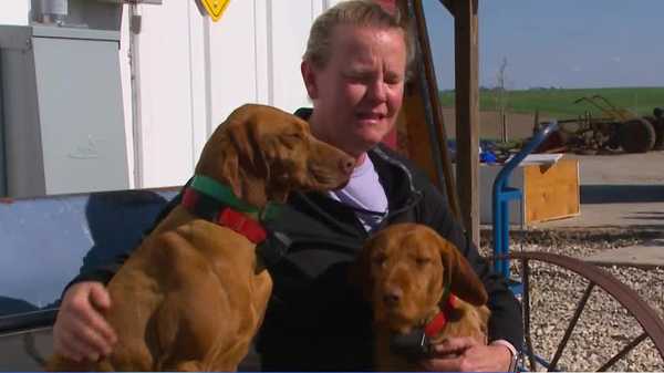 'prayers were answered': family pulls dogs out from under tornado wreckage