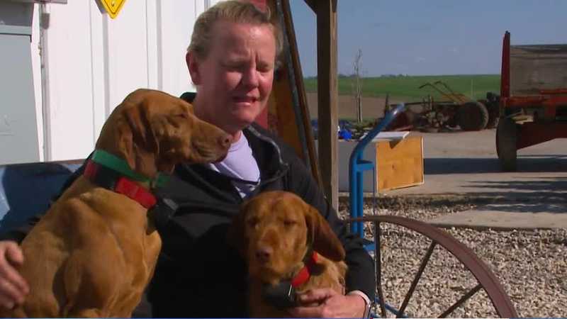 'Prayers were answered': Family pulls dogs out from under tornado wreckage