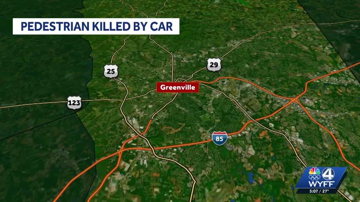 Pedestrian hit and killed by car in Greenville County