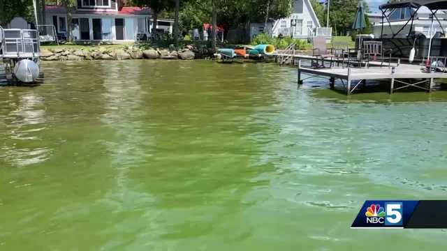 Cyanobacteria plagues Lake Carmi despite aeration system in place, prompting frustration - Vimarsana News