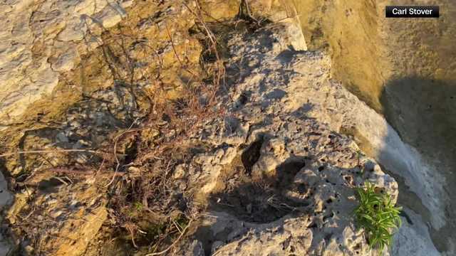 Ancient dinosaur tracks uncovered in Texas after devastating floods. Experts say they're authentic.