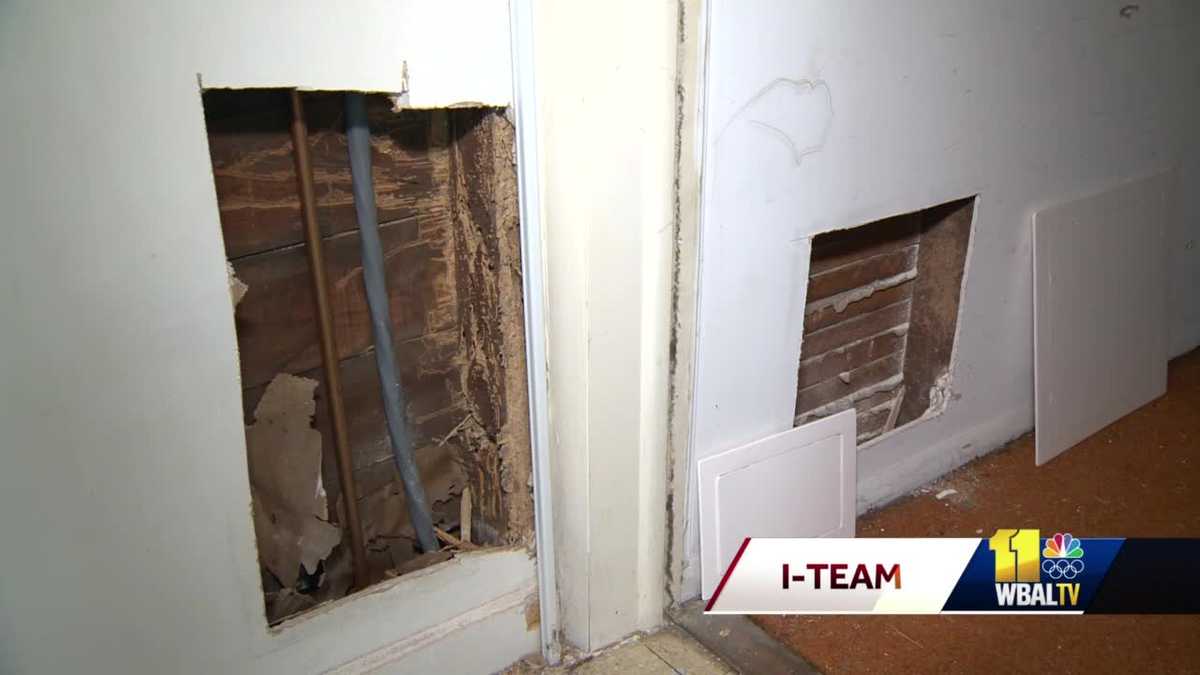 Warning for home buyers after termite infestation hits home