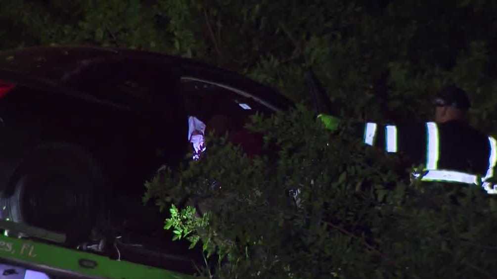 Hit-and-run crash leaves car in bushes in Lehigh Acres, investigation ...