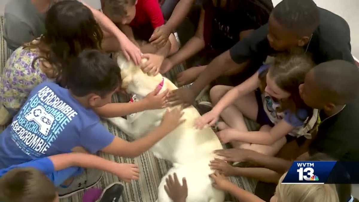 Pelham City students have new service dog to help in classroom