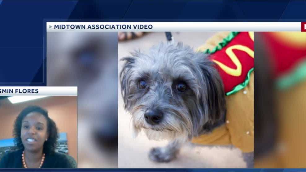 Sacramento Midtown Halloween Festival and Pooch Parade returns