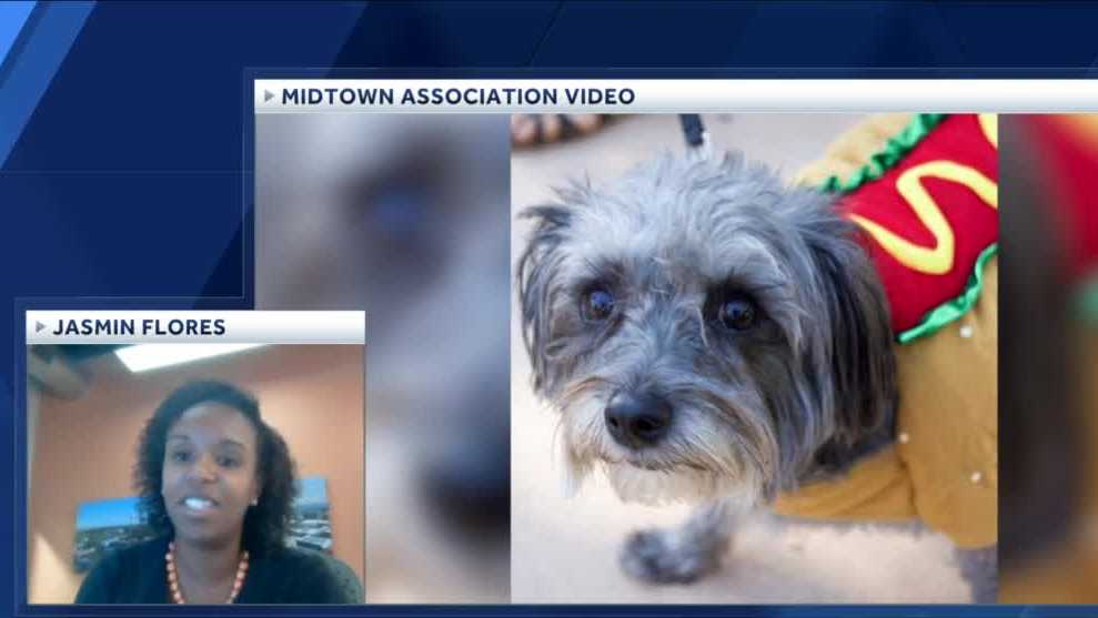 Sacramento Midtown Halloween Festival And Pooch Parade Returns sacramento-midtown-halloween-festival-and-pooch-parade-returns