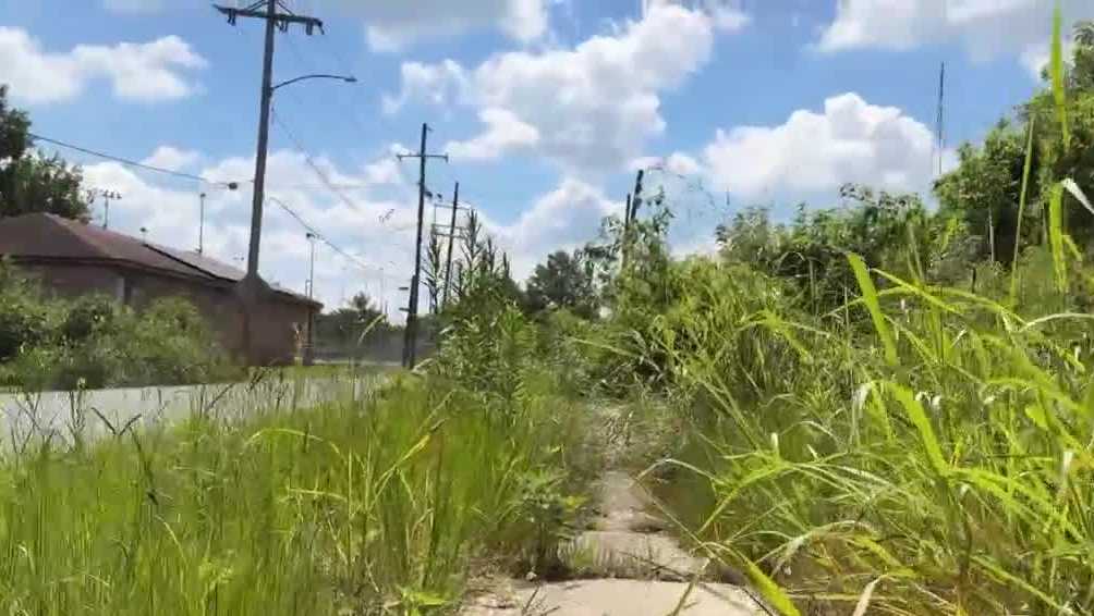 Mayor Helena Moreno announces task force created to address blight