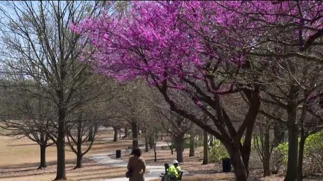 AHN doctor: Mild winter may produce early spring allergies - Vimarsana News
