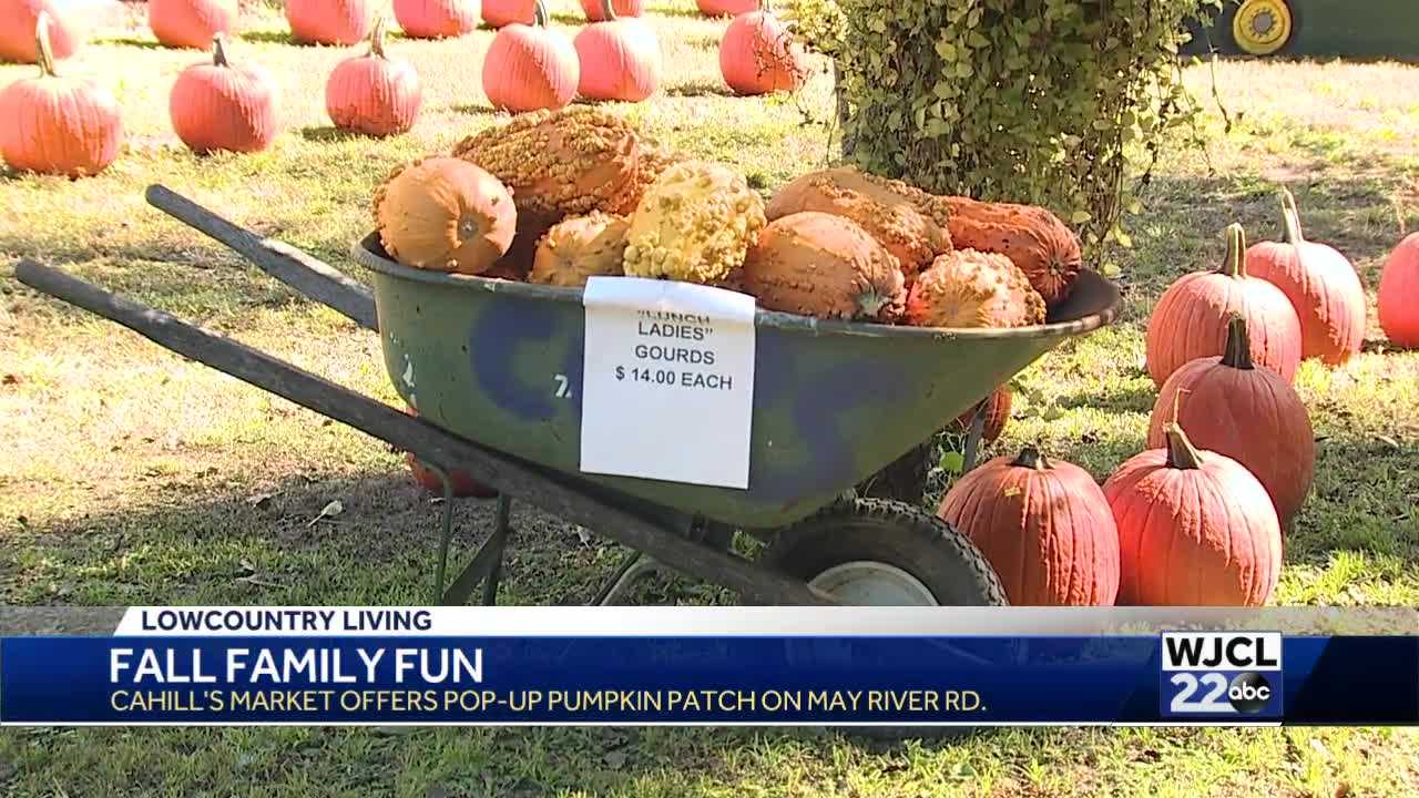 pumpkin patch statesboro