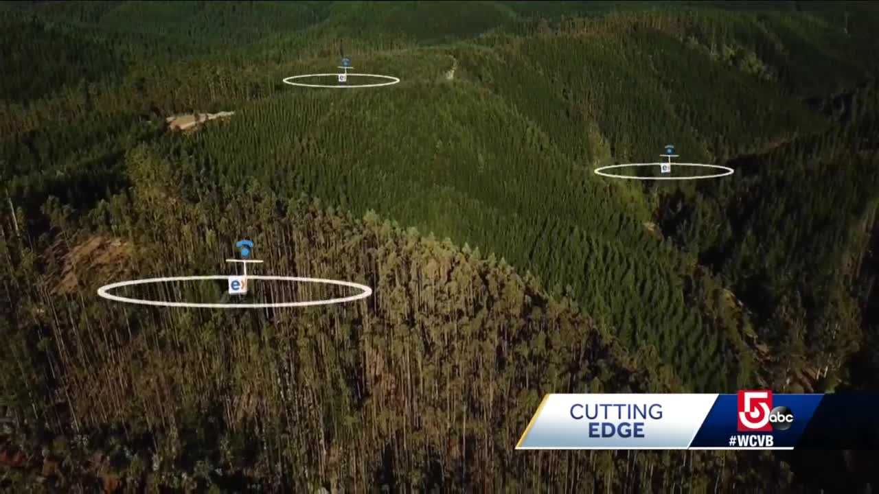 Boston Company's Sensors Revolutionizing Wildfire Fight: Cutting Edge