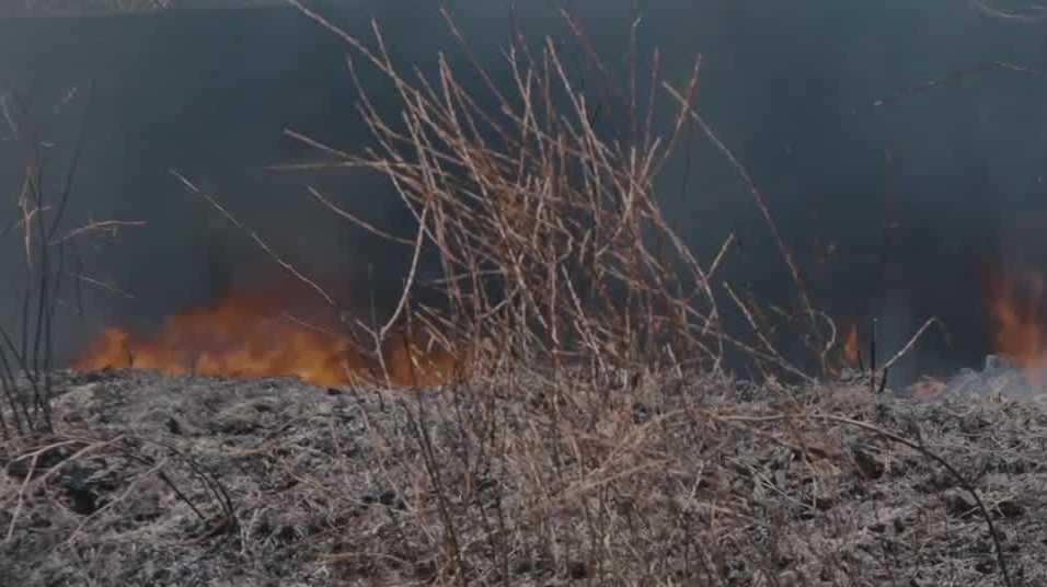 California lakes affected by wildfire smoke, UC Davis study shows - Vimarsana News