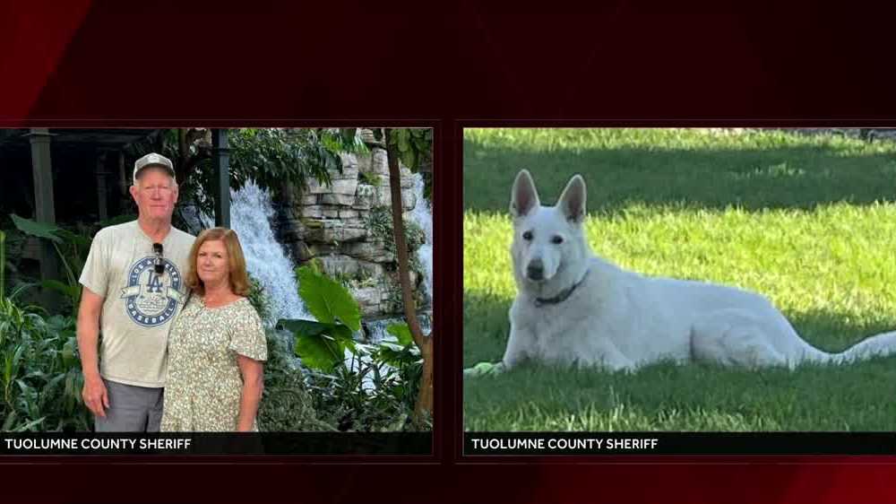 Rescue crews in Tuolumne County find woman who had been missing