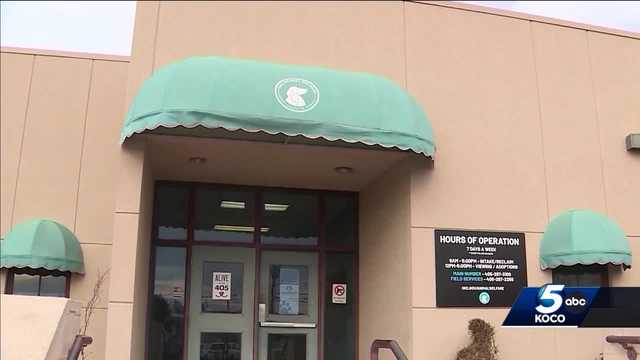 OKC Animal Shelter closing again after latest infection outbreak - Vimarsana News