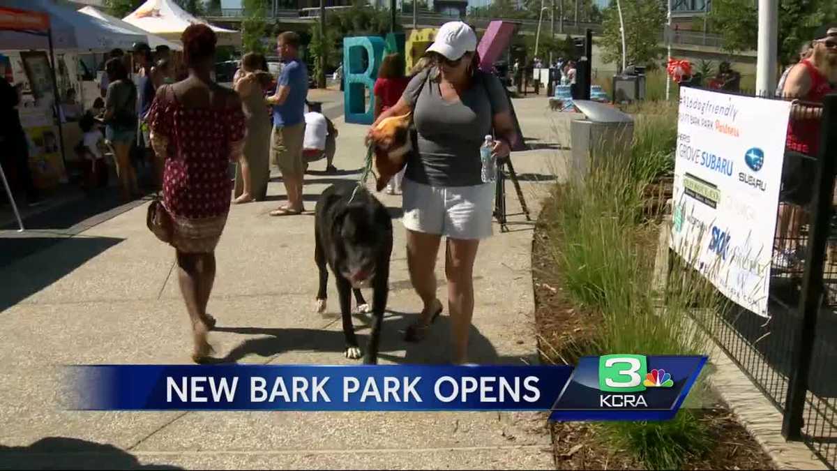 Sacramento's newest dog park opens after nearly million dollar, 3 year