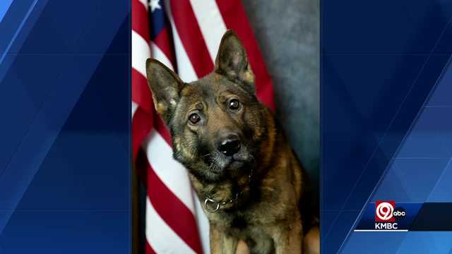 Lawrence police dog 'Cheeseburger' to retire - Vimarsana News
