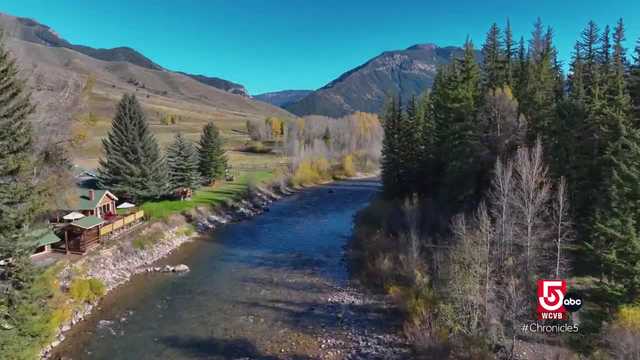 Fall in love with fall in Jackson Hole, Wyoming - Vimarsana News