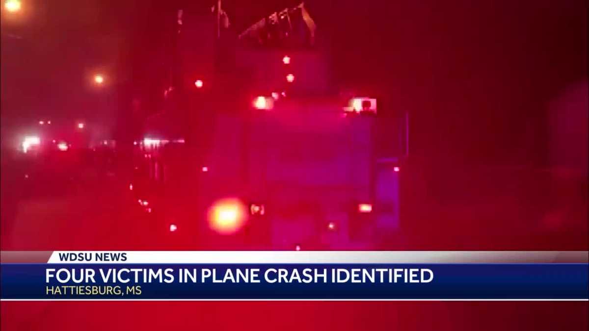 Four people killed including 2yearold after plane crashes into