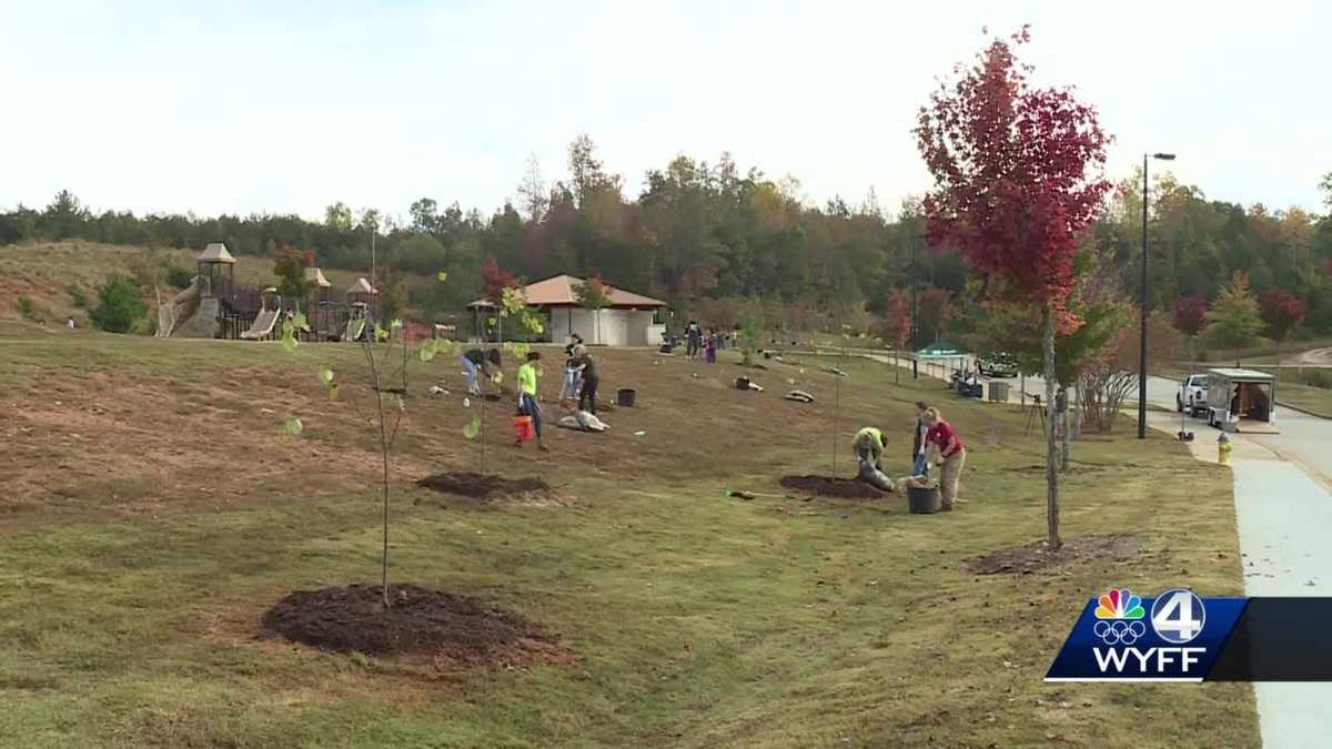 TD Bank teams up with Trees Upstate to plant 75 trees