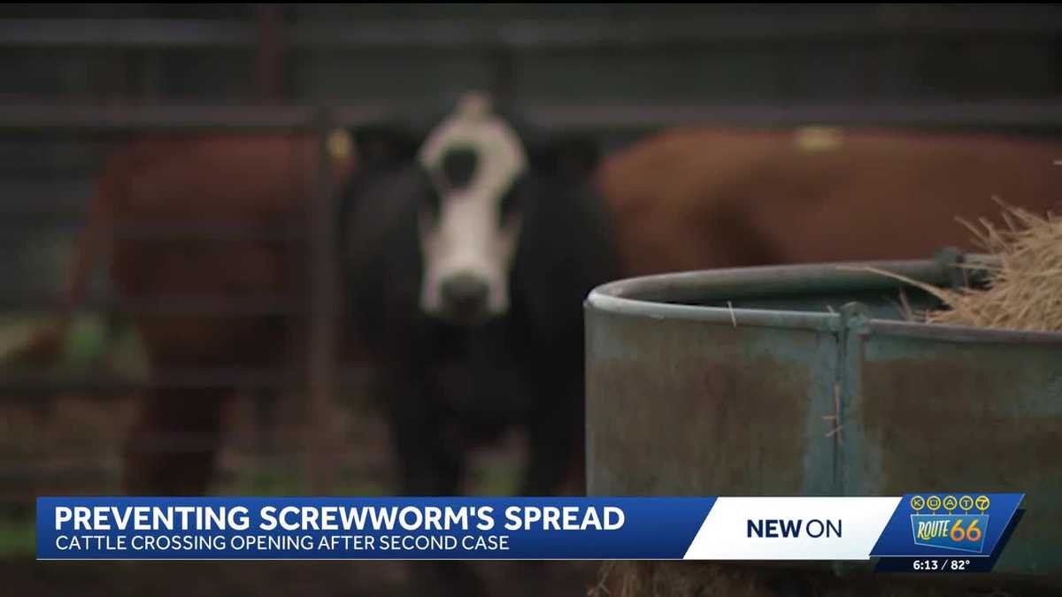New World Screwworm Detected in New Mexico Horse