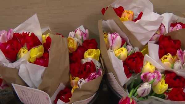surprise flower deliveries lift spirits of des moines cancer patients