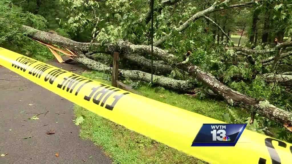 Storm Downs Tree In Hoover