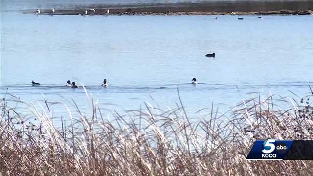 OSU graduate student dies in tragic accident while duck hunting - Vimarsana News