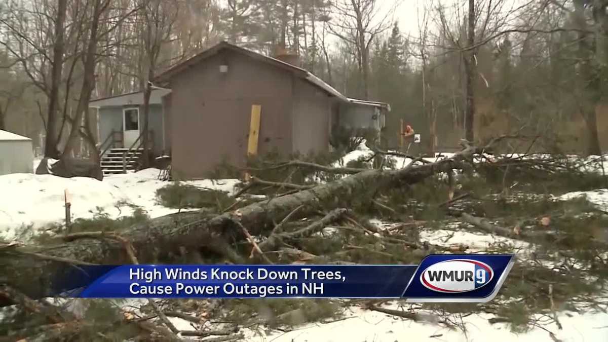 High winds knock down trees, cause power outages in southwestern NH