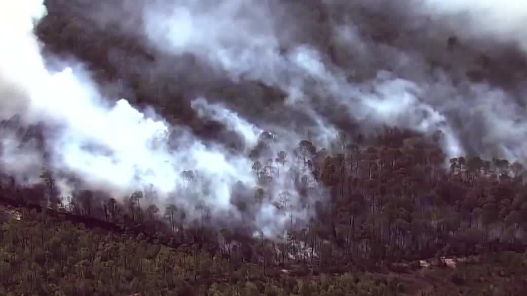 Wildfires scorch Central Florida: Trains halted, roads close amid Red Flag Warning