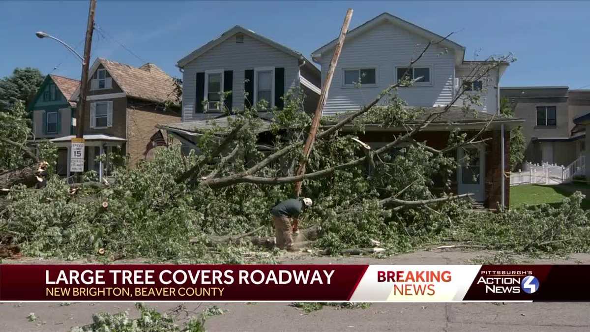 Tree blocks road, hits two homes in New Brighton