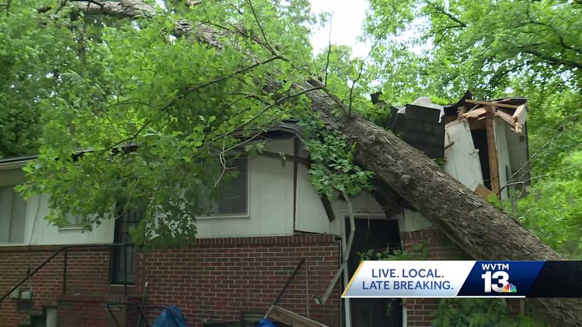 'Could've been a lot worse': Tree falls on home in Roebuck, family ...