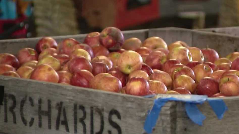 'Brings everybody together': Thousands expected at Delmont Apple 'N Arts Festival
