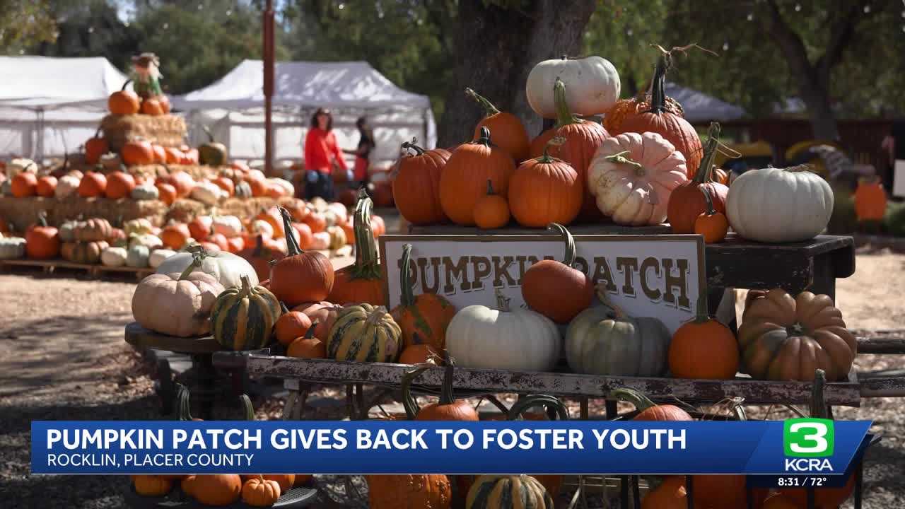 Deer Creek Farm pumpkin patch supports young adults aging out of foster care
