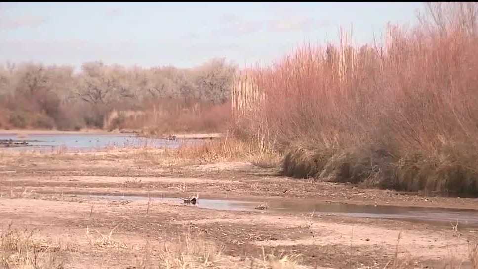 New Mexico governor orders emergency for fire risk, severe drought
