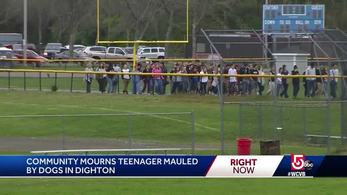 Friends honor, remember teen mauled by dogs