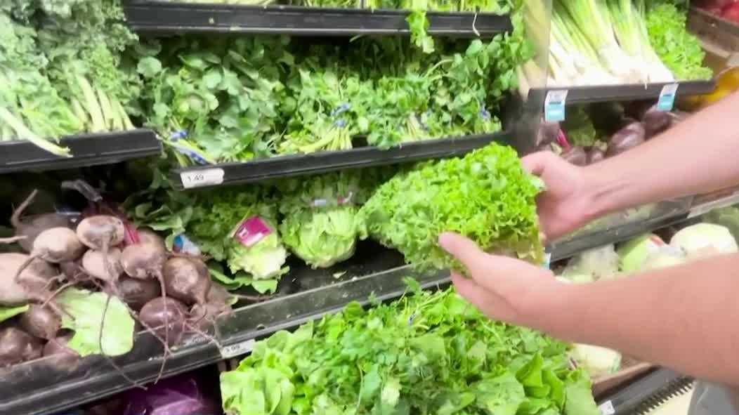 Proper food safety practices can help protect your family from illness