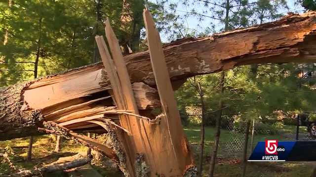 Days of cleanup ahead for Rhode Island residents hit by tornado - Vimarsana News
