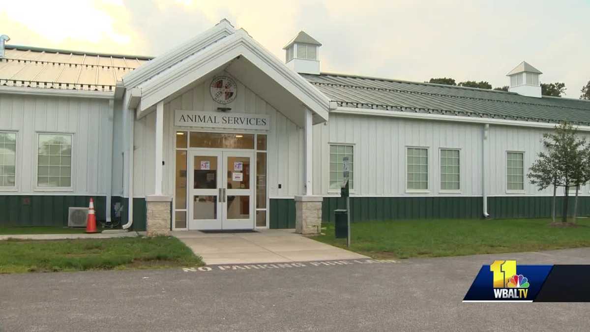 Changes in Baltimore County Animal Services