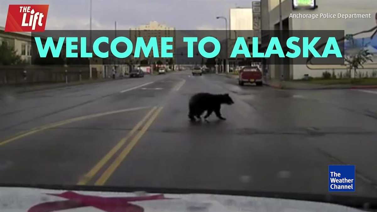 In Alaska, Police Chase Bears