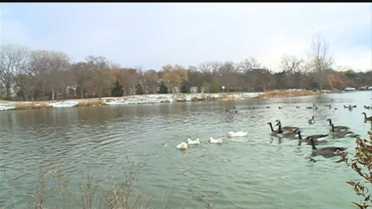 Nebraska woman works to keep ducks alive in Winter