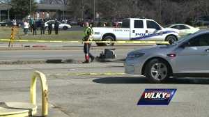 Man in wheelchair dies after being struck by truck