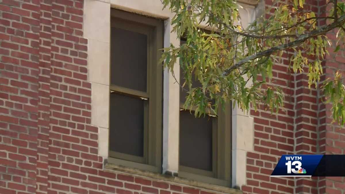 Bats delay reopening at Minor Elementary school