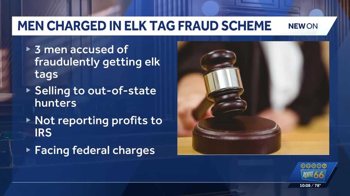 New Mexico men accused of selling elk hunting tags illegally