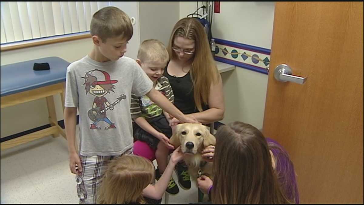 Service dogs help relax young patients at Children's Mercy Hospital